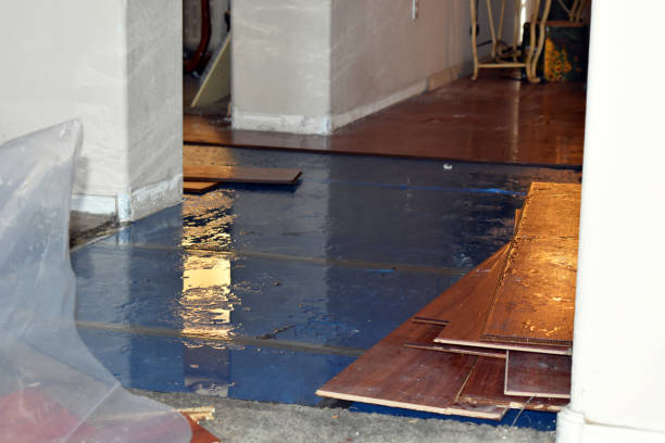 Professional Basement Water Removal technician working in Goshen, IN